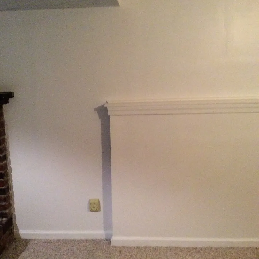 Basement wall repair and restoration in Live Oak
