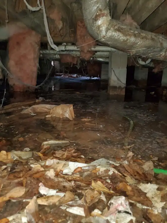 Crawl space flood assessment for Commercial Water Damage Restoration in Live Oak