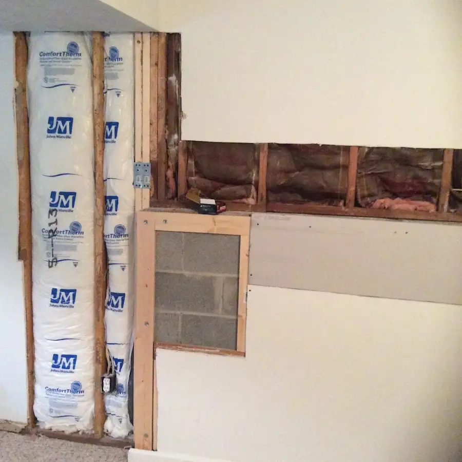 Wall insulation replacement during Basement Flood Cleanup in Live Oak